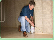 Romsey pest control